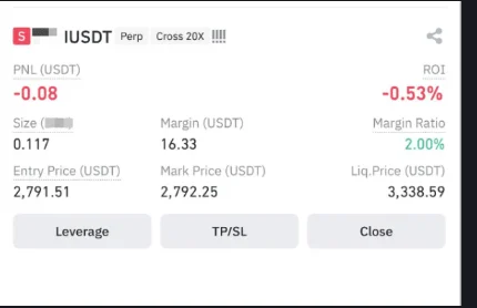 Example position card in Binance's official Futures app guide showing Margin Ratio 2.00%, Mark Price and estimated liquidation price